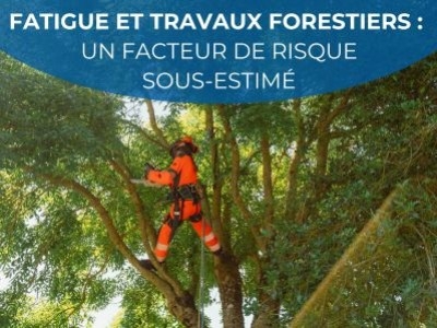 Fatigue dans les travaux forestiers : un facteur de risque pour la sécurité