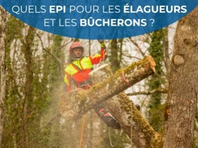 Quels EPI pour les élagueurs et bûcherons ?